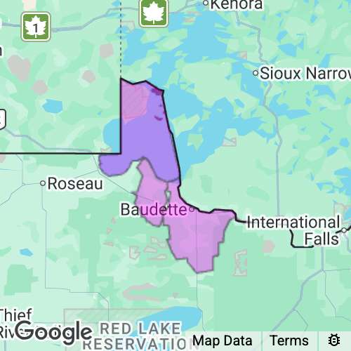 Lake Of The Woods County Minnesota real estate agent mailing area