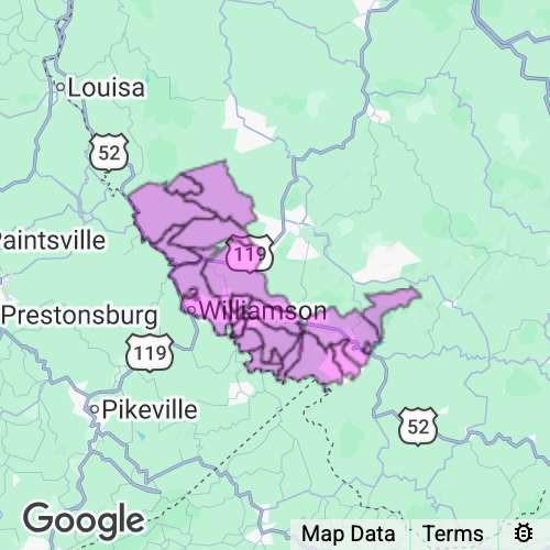 Mingo County West Virginia real estate agent mailing area